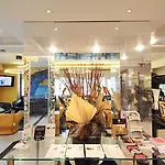 ホテル Morfeo 4*
